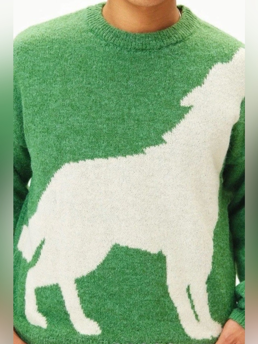 Urban Outfitters BDG XL Saddler Green Howling Wolf Sweater. Soft. Sold out! NWT